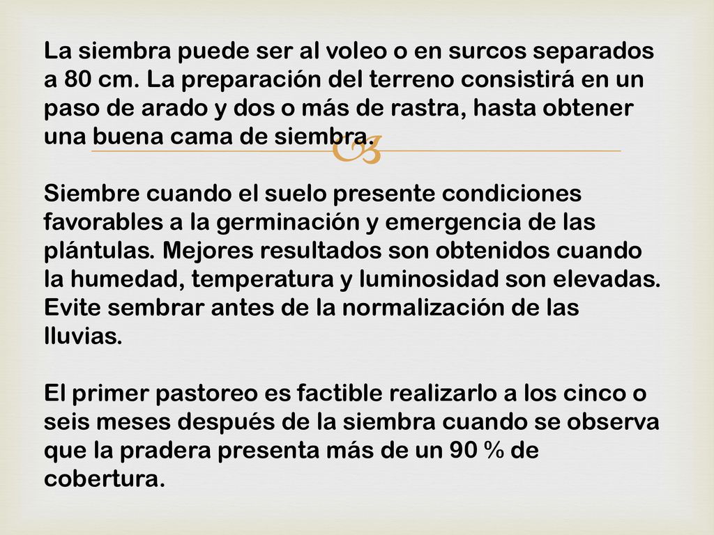La siembra puede ser al voleo o en surcos separados a 80 cm