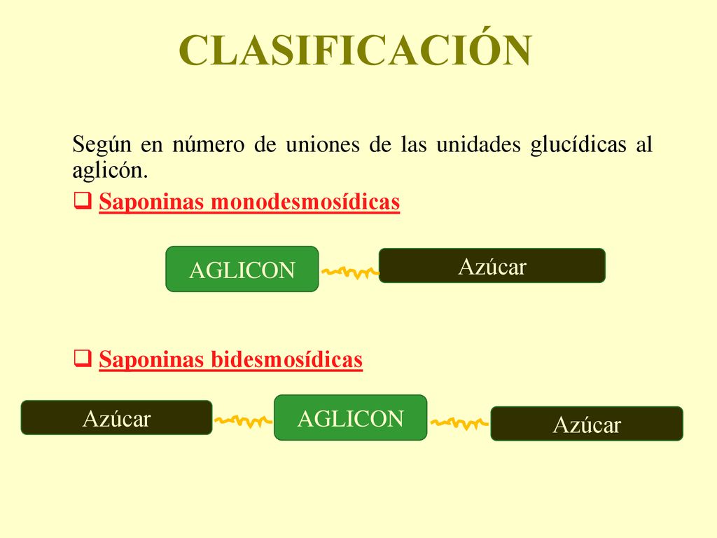 CLASIFICACIÓN Según en número de uniones de las unidades glucídicas al aglicón. Saponinas monodesmosídicas.