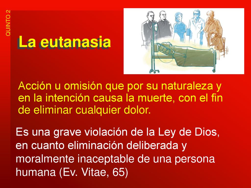 La eutanasia Acción u omisión que por su naturaleza y en la intención causa la muerte, con el fin de eliminar cualquier dolor.