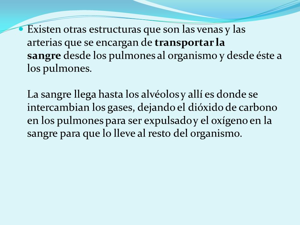Existen otras estructuras que son las venas y las arterias que se encargan de transportar la sangre desde los pulmones al organismo y desde éste a los pulmones. La sangre llega hasta los alvéolos y allí es donde se intercambian los gases, dejando el dióxido de carbono en los pulmones para ser expulsado y el oxígeno en la sangre para que lo lleve al resto del organismo.