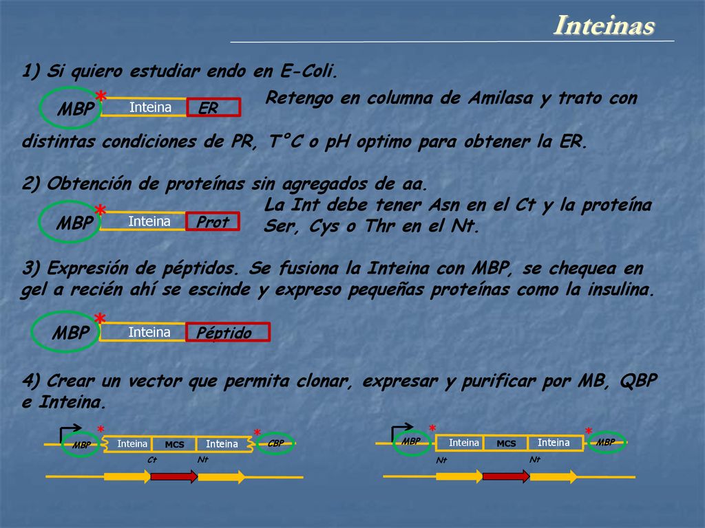 Inteinas Retengo en columna de Amilasa y trato con * * *