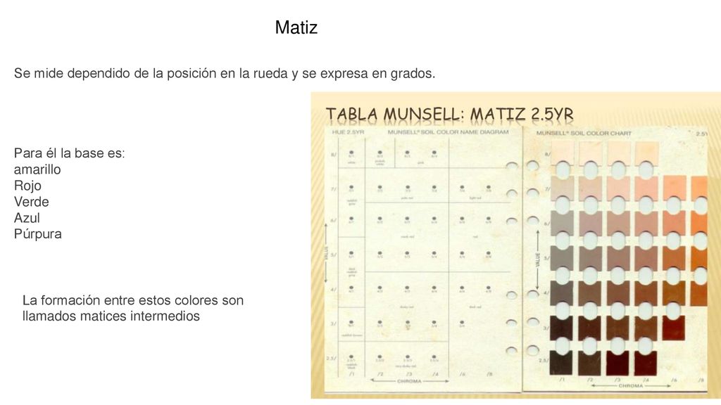 Matiz Se mide dependido de la posición en la rueda y se expresa en grados. Para él la base es: amarillo Rojo Verde Azul Púrpura.