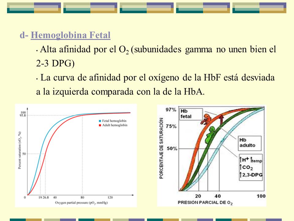 d- Hemoglobina Fetal Alta afinidad por el O2 (subunidades gamma no unen bien el 2-3 DPG)