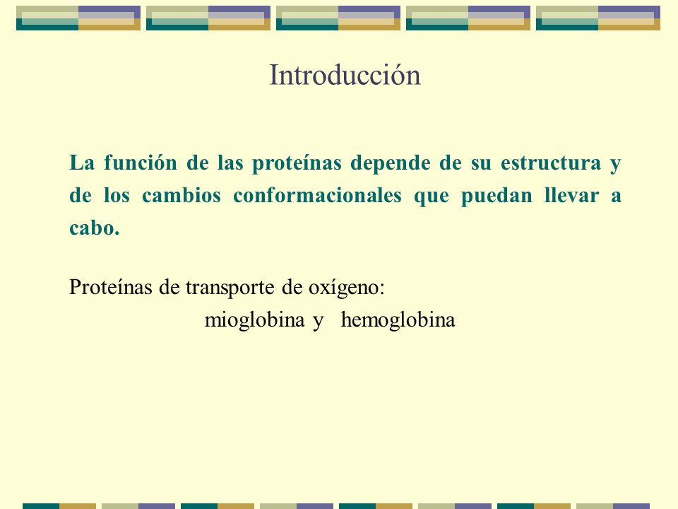 Introducción La función de las proteínas depende de su estructura y de los cambios conformacionales que puedan llevar a cabo.