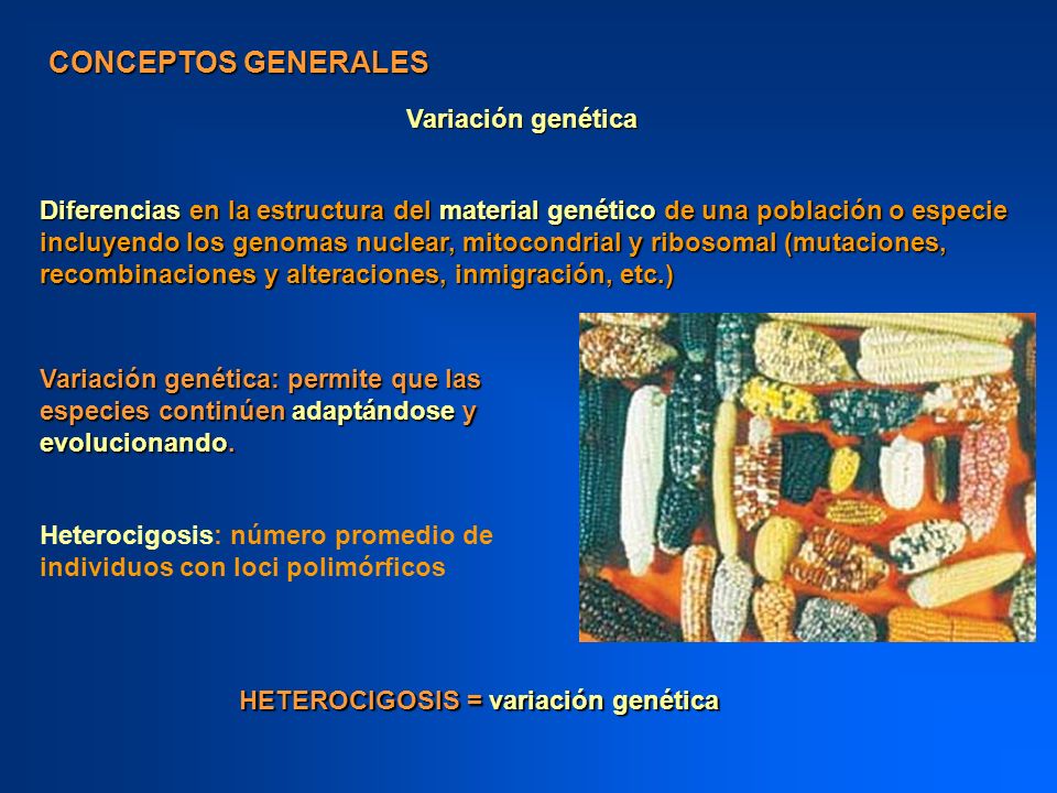 CONCEPTOS GENERALES Variación genética