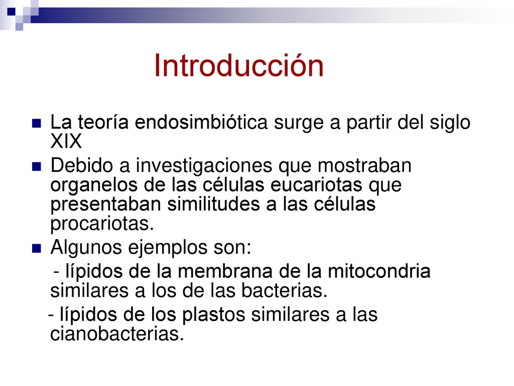 Introducción La teoría endosimbiótica surge a partir del siglo XIX