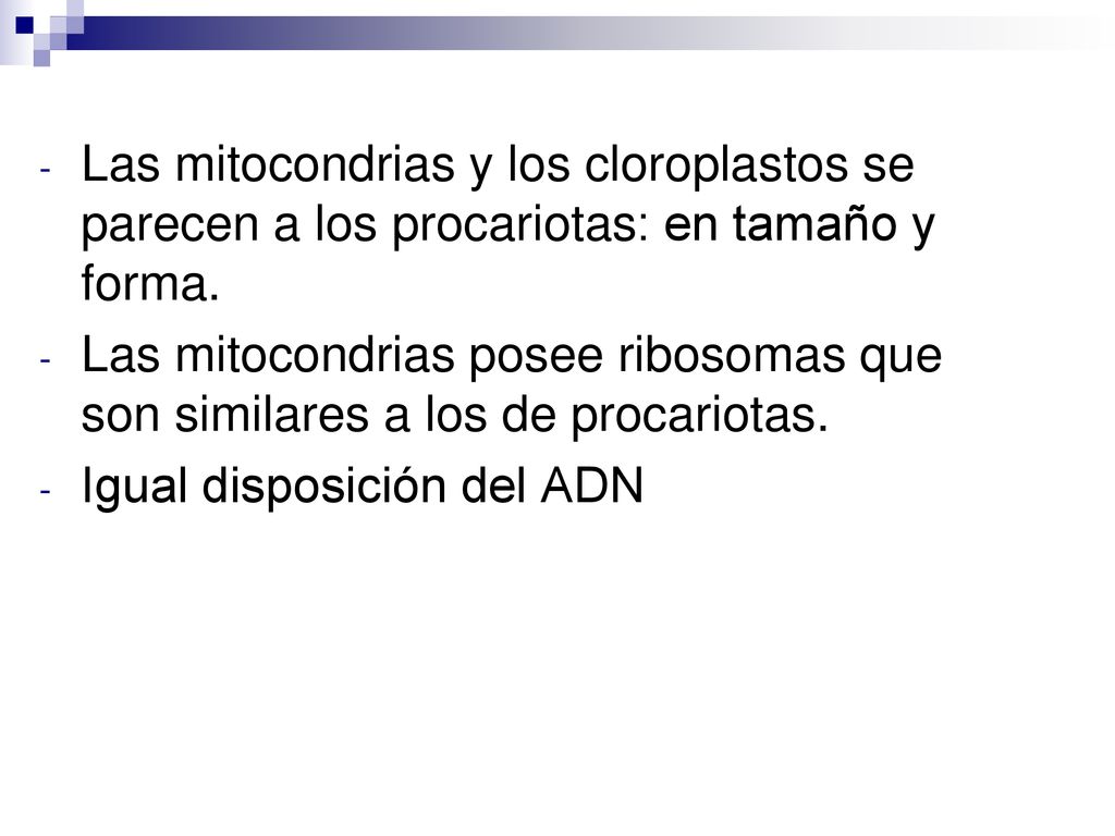 Las mitocondrias y los cloroplastos se parecen a los procariotas: en tamaño y forma.