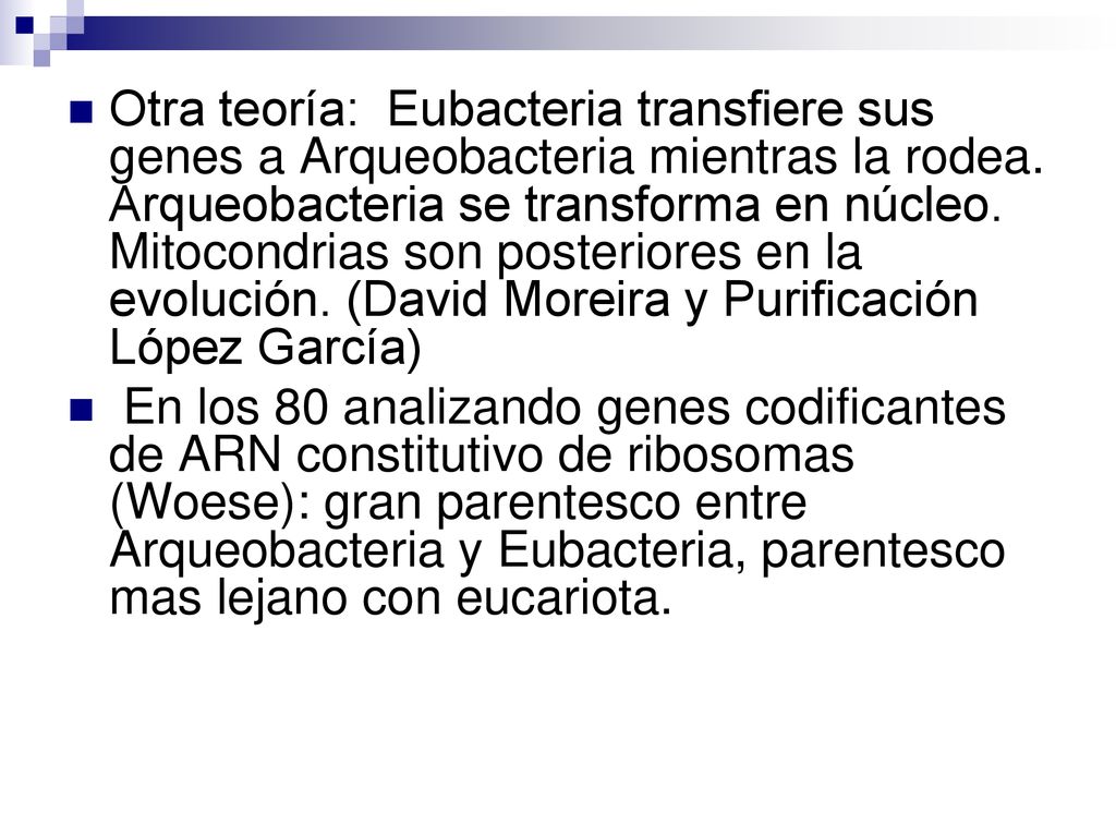 Otra teoría: Eubacteria transfiere sus genes a Arqueobacteria mientras la rodea. Arqueobacteria se transforma en núcleo. Mitocondrias son posteriores en la evolución. (David Moreira y Purificación López García)