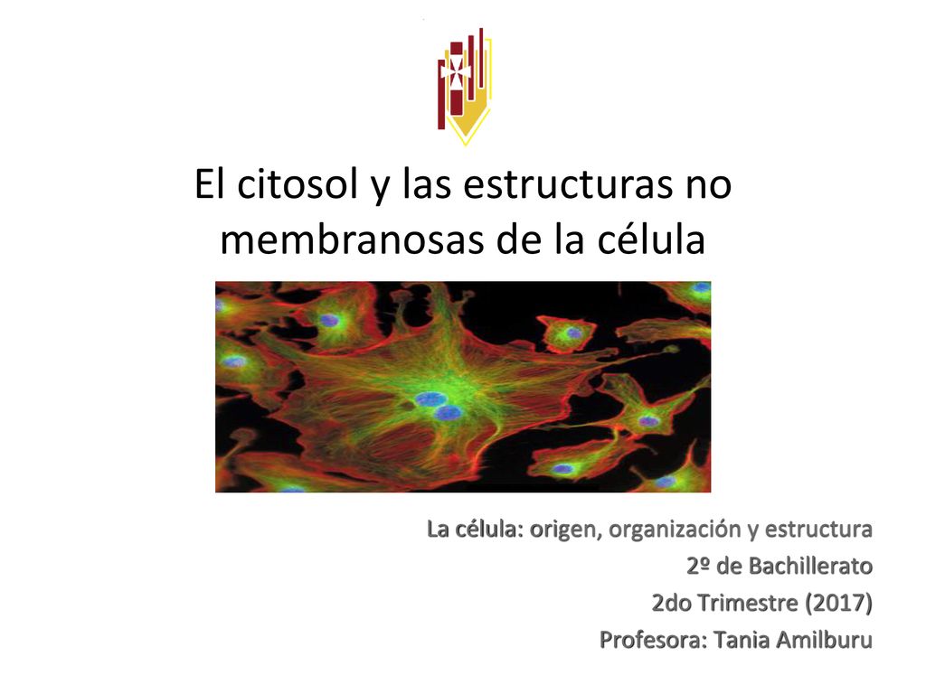 El citosol y las estructuras no membranosas de la célula
