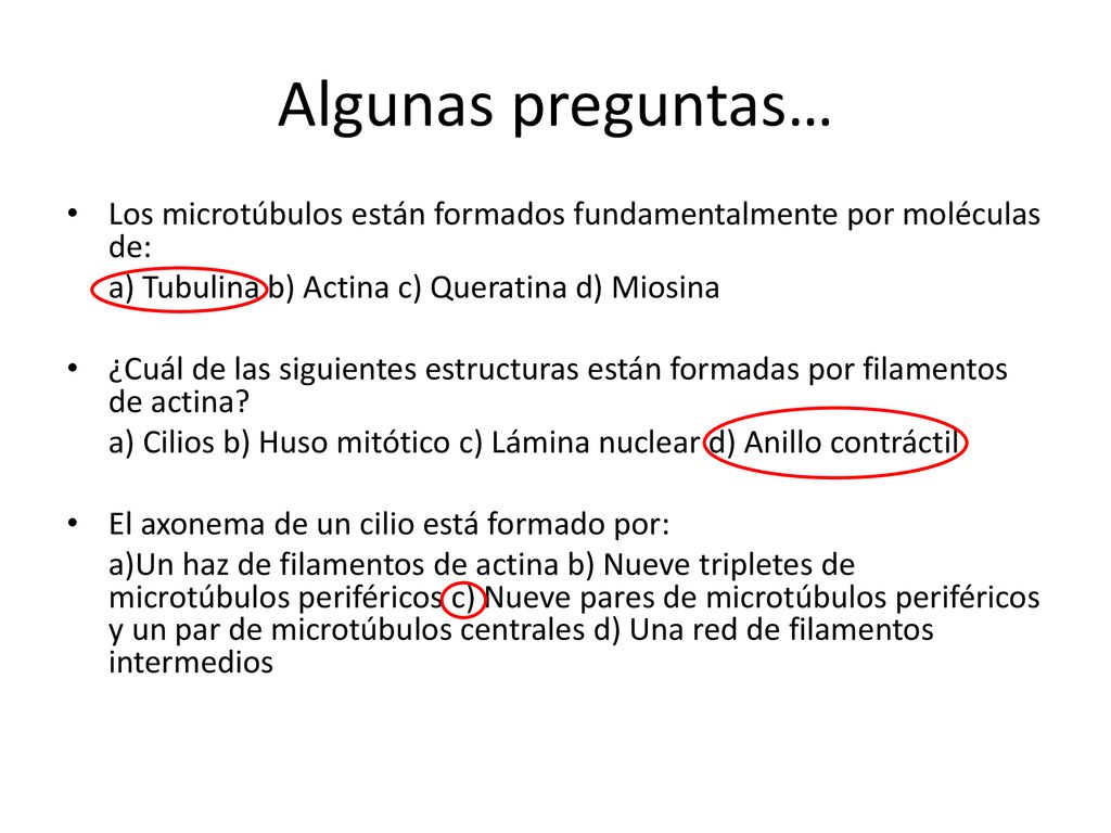 Algunas preguntas… Los microtúbulos están formados fundamentalmente por moléculas de: a) Tubulina b) Actina c) Queratina d) Miosina.