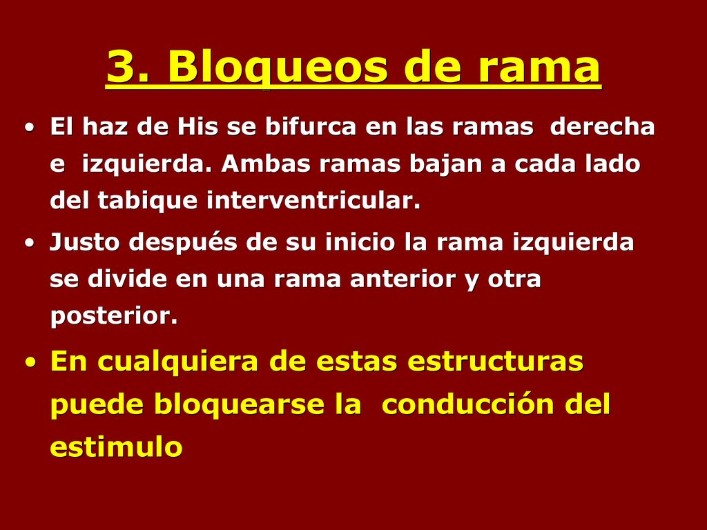 3. Bloqueos de rama El haz de His se bifurca en las ramas derecha e izquierda. Ambas ramas bajan a cada lado del tabique interventricular.