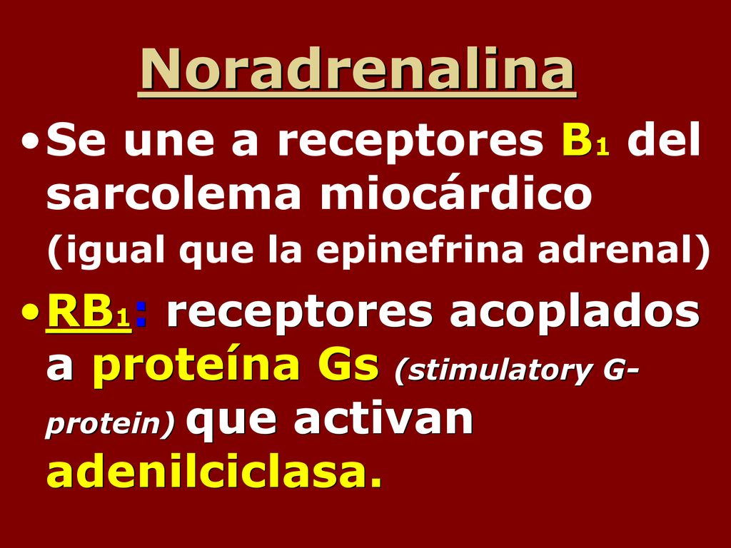 Noradrenalina Se une a receptores B1 del sarcolema miocárdico (igual que la epinefrina adrenal)