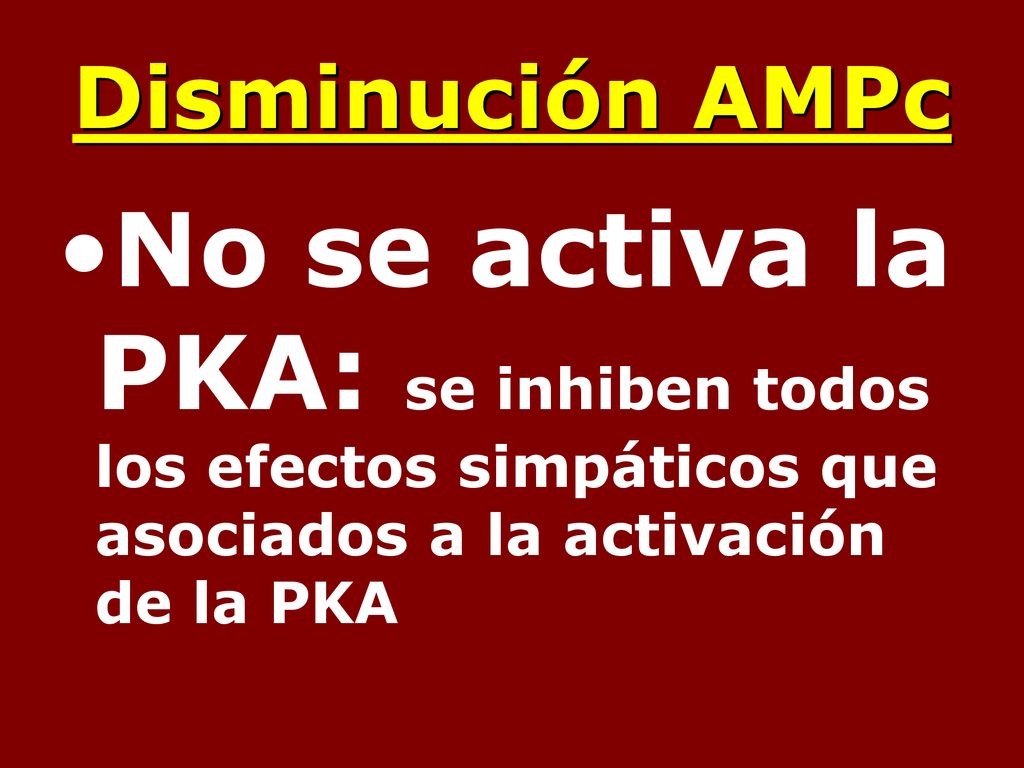 Disminución AMPc No se activa la PKA: se inhiben todos los efectos simpáticos que asociados a la activación de la PKA.