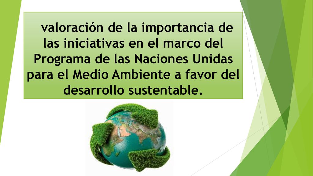 valoración de la importancia de las iniciativas en el marco del Programa de las Naciones Unidas para el Medio Ambiente a favor del desarrollo sustentable.
