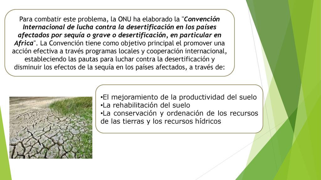 Para combatir este problema, la ONU ha elaborado la Convención Internacional de lucha contra la desertificación en los países afectados por sequía o grave o desertificación, en particular en Africa . La Convención tiene como objetivo principal el promover una acción efectiva a través programas locales y cooperación internacional, estableciendo las pautas para luchar contra la desertificación y disminuir los efectos de la sequía en los países afectados, a través de: