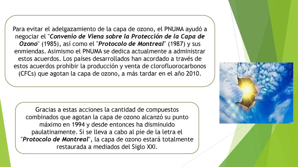 Para evitar el adelgazamiento de la capa de ozono, el PNUMA ayudó a negociar el Convenio de Viena sobre la Protección de la Capa de Ozono (1985), así como el Protocolo de Montreal (1987) y sus enmiendas. Asimismo el PNUMA se dedica actualmente a administrar estos acuerdos. Los países desarrollados han acordado a través de estos acuerdos prohibir la producción y venta de clorofluorocarbonos (CFCs) que agotan la capa de ozono, a más tardar en el año 2010.