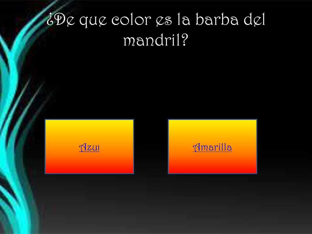 ¿De que color es la barba del mandril