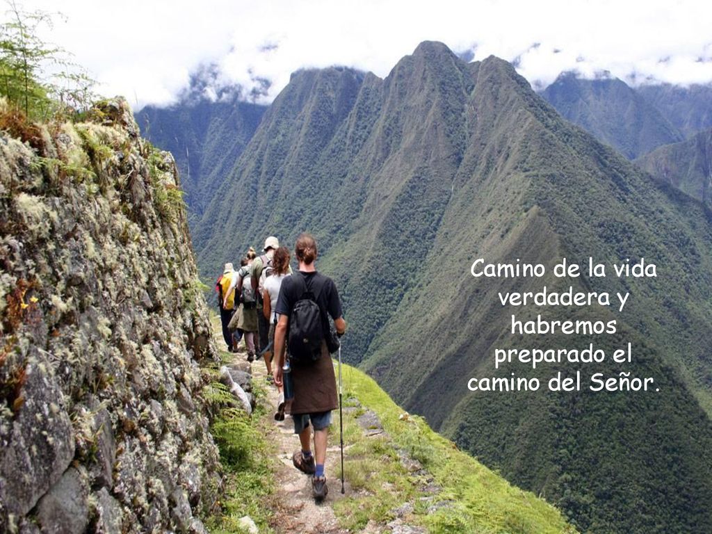Camino de la vida verdadera y habremos preparado el camino del Señor.