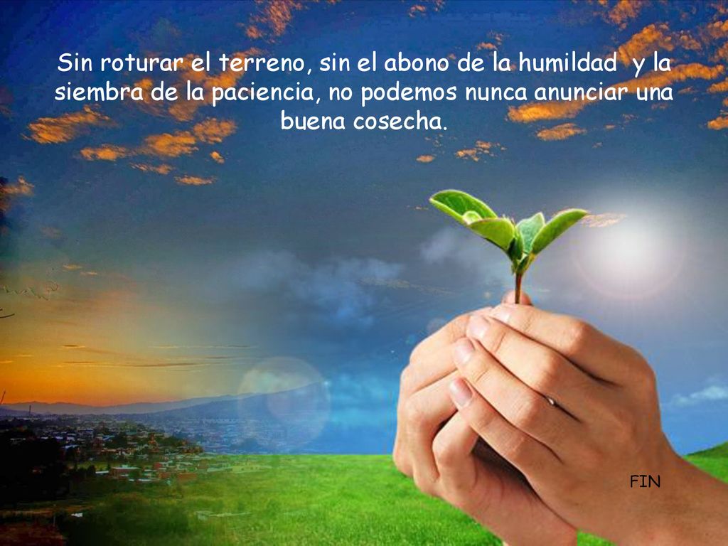 Sin roturar el terreno, sin el abono de la humildad y la siembra de la paciencia, no podemos nunca anunciar una buena cosecha.