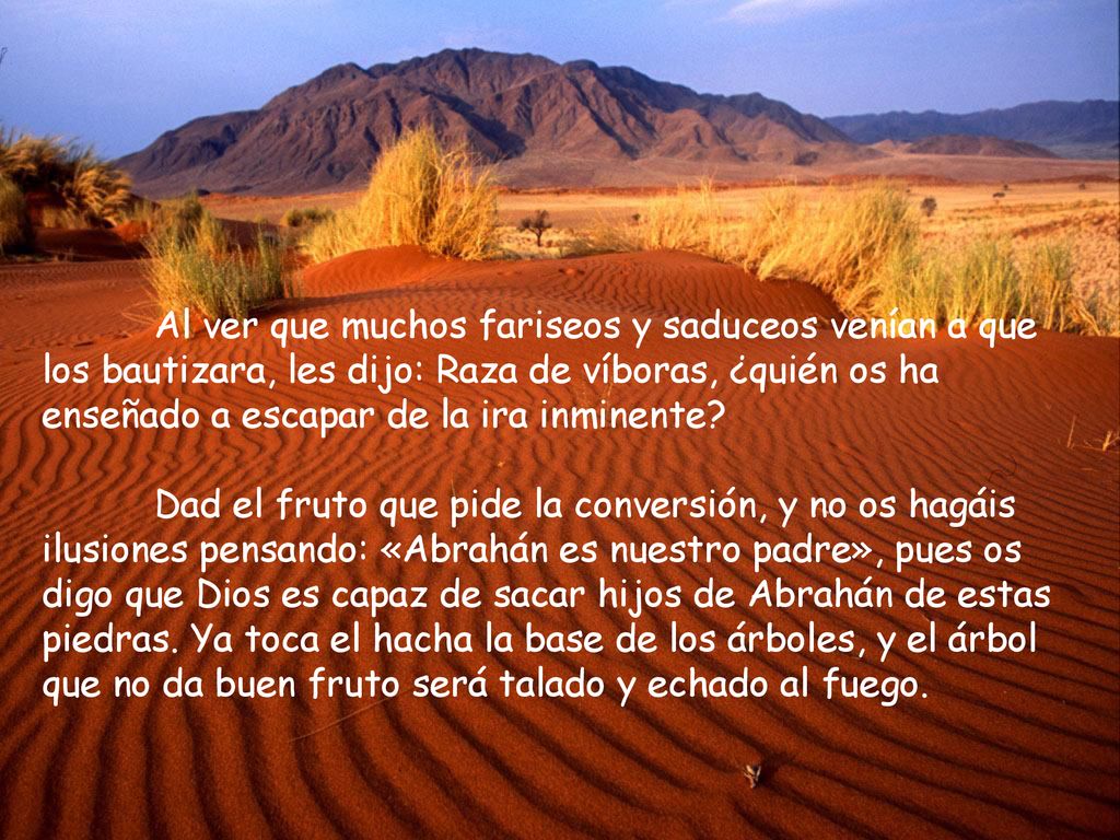 Al ver que muchos fariseos y saduceos venían a que los bautizara, les dijo: Raza de víboras, ¿quién os ha enseñado a escapar de la ira inminente