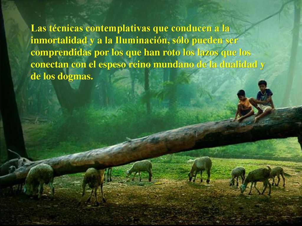 Las técnicas contemplativas que conducen a la inmortalidad y a la Iluminación, sólo pueden ser comprendidas por los que han roto los lazos que los conectan con el espeso reino mundano de la dualidad y de los dogmas.