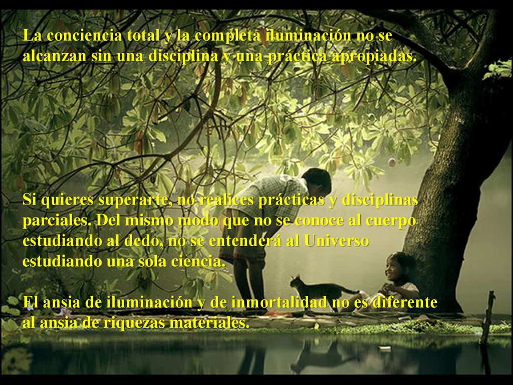 La conciencia total y la completa iluminación no se alcanzan sin una disciplina y una práctica apropiadas.