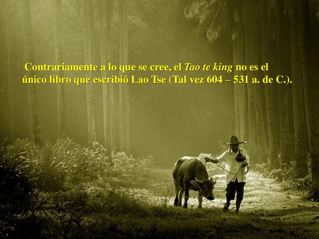Contrariamente a lo que se cree, el Tao te king no es el único libro que escribió Lao Tse (Tal vez 604 – 531 a.