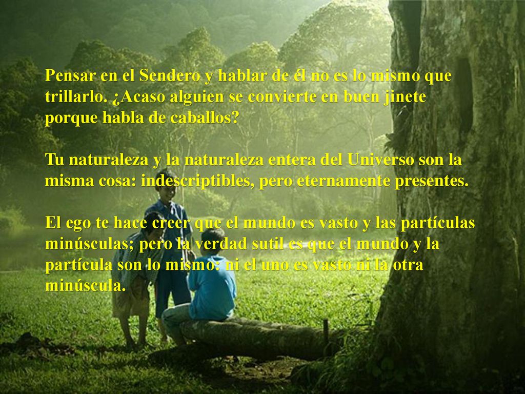 Pensar en el Sendero y hablar de él no es lo mismo que trillarlo