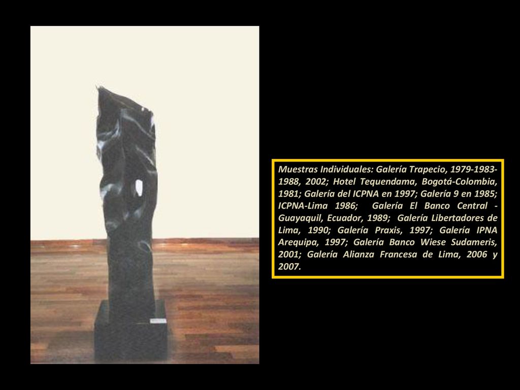 Muestras Individuales: Galería Trapecio, , 2002; Hotel Tequendama, Bogotá-Colombia, 1981; Galería del ICPNA en 1997; Galería 9 en 1985; ICPNA-Lima 1986; Galería El Banco Central - Guayaquil, Ecuador, 1989; Galería Libertadores de Lima, 1990; Galería Praxis, 1997; Galería IPNA Arequipa, 1997; Galería Banco Wiese Sudameris, 2001; Galería Alianza Francesa de Lima, 2006 y 2007.
