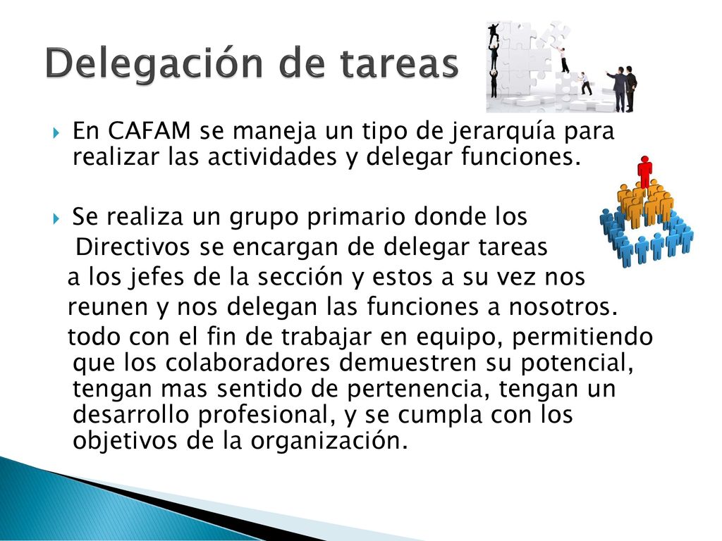 Delegación de tareas En CAFAM se maneja un tipo de jerarquía para realizar las actividades y delegar funciones.