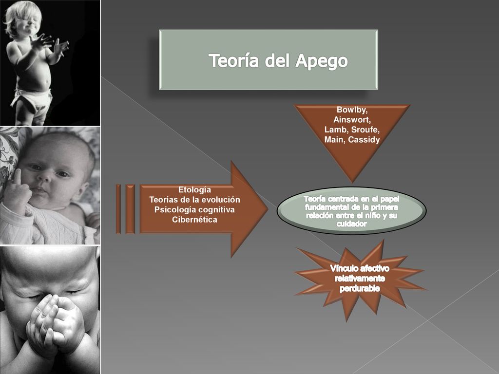 Bowlby, Ainswort, Lamb, Sroufe, Main, Cassidy Teorías de la evolución