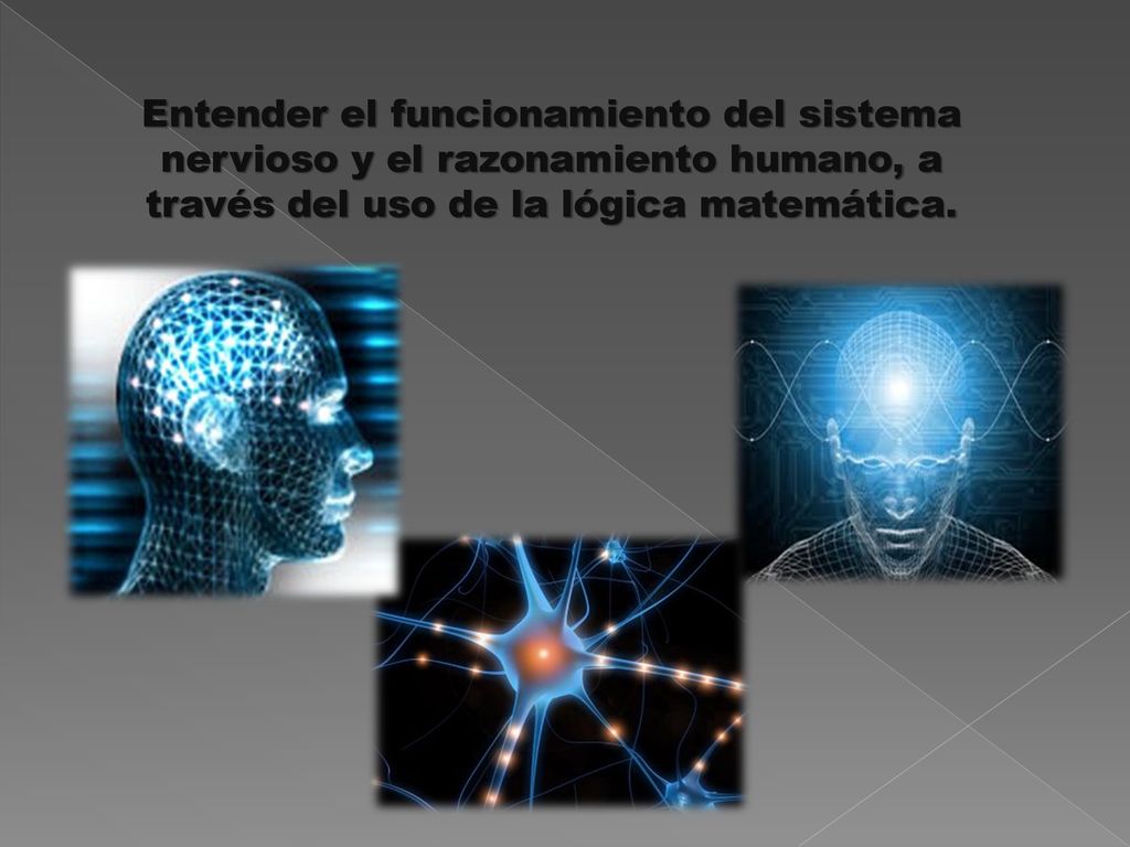 Entender el funcionamiento del sistema nervioso y el razonamiento humano, a través del uso de la lógica matemática.