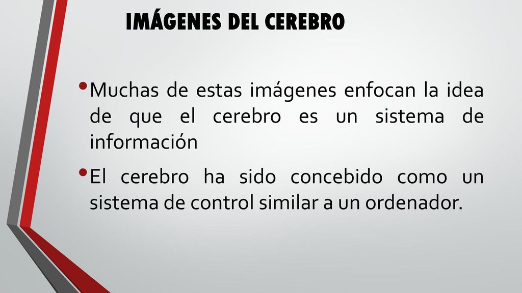 IMÁGENES DEL CEREBRO Muchas de estas imágenes enfocan la idea de que el cerebro es un sistema de información.