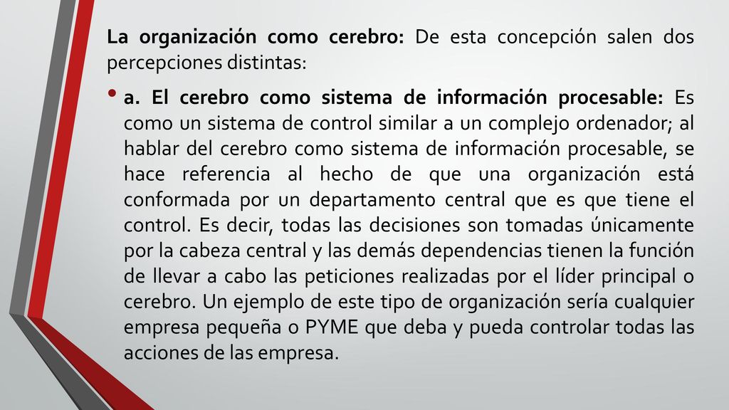 La organización como cerebro: De esta concepción salen dos percepciones distintas: