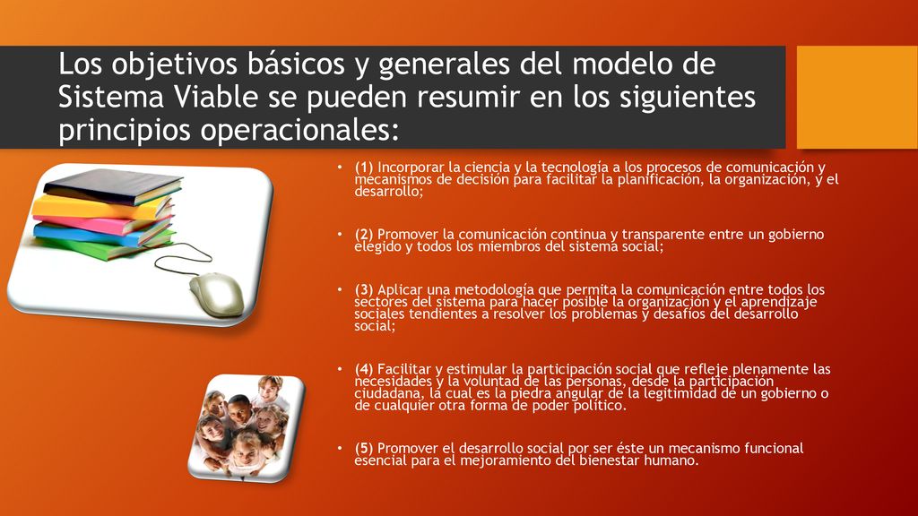 Los objetivos básicos y generales del modelo de Sistema Viable se pueden resumir en los siguientes principios operacionales: