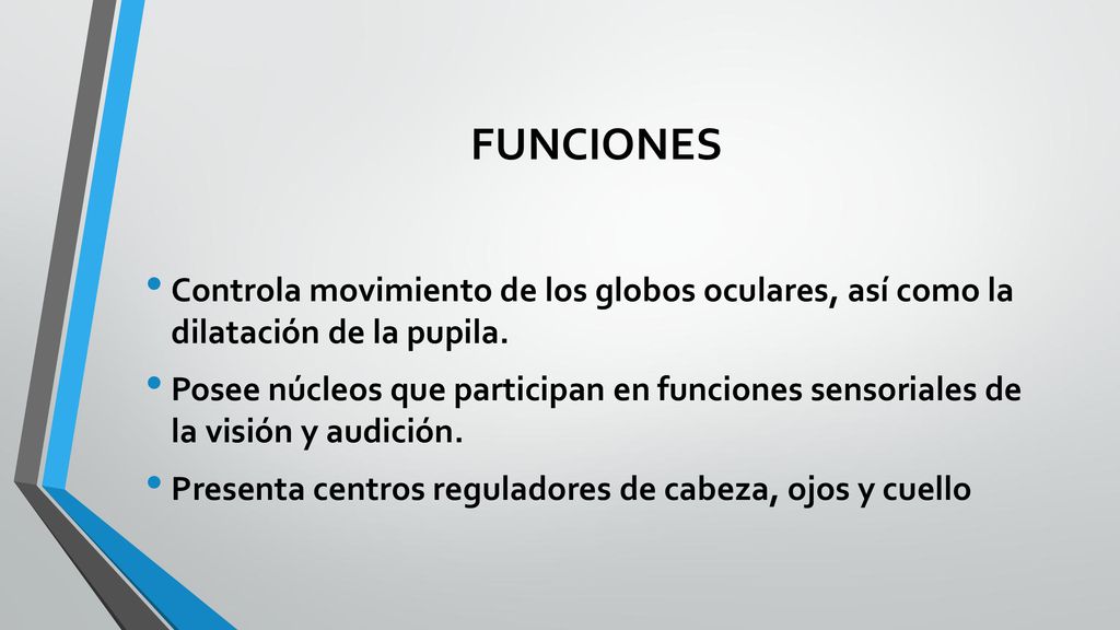 FUNCIONES Controla movimiento de los globos oculares, así como la dilatación de la pupila.