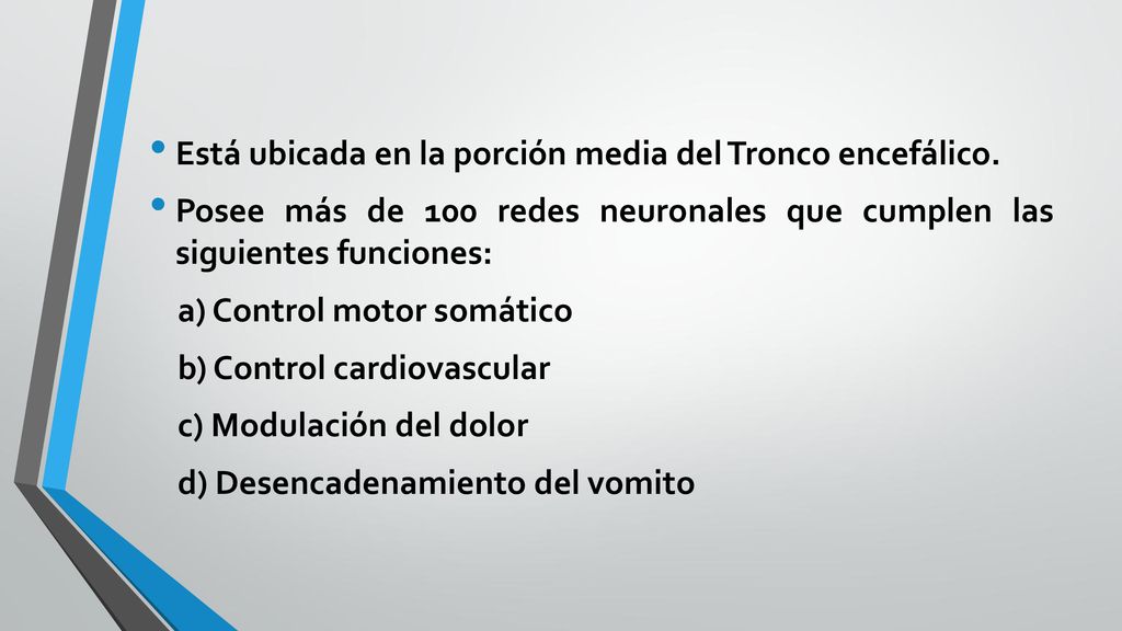 Está ubicada en la porción media del Tronco encefálico.