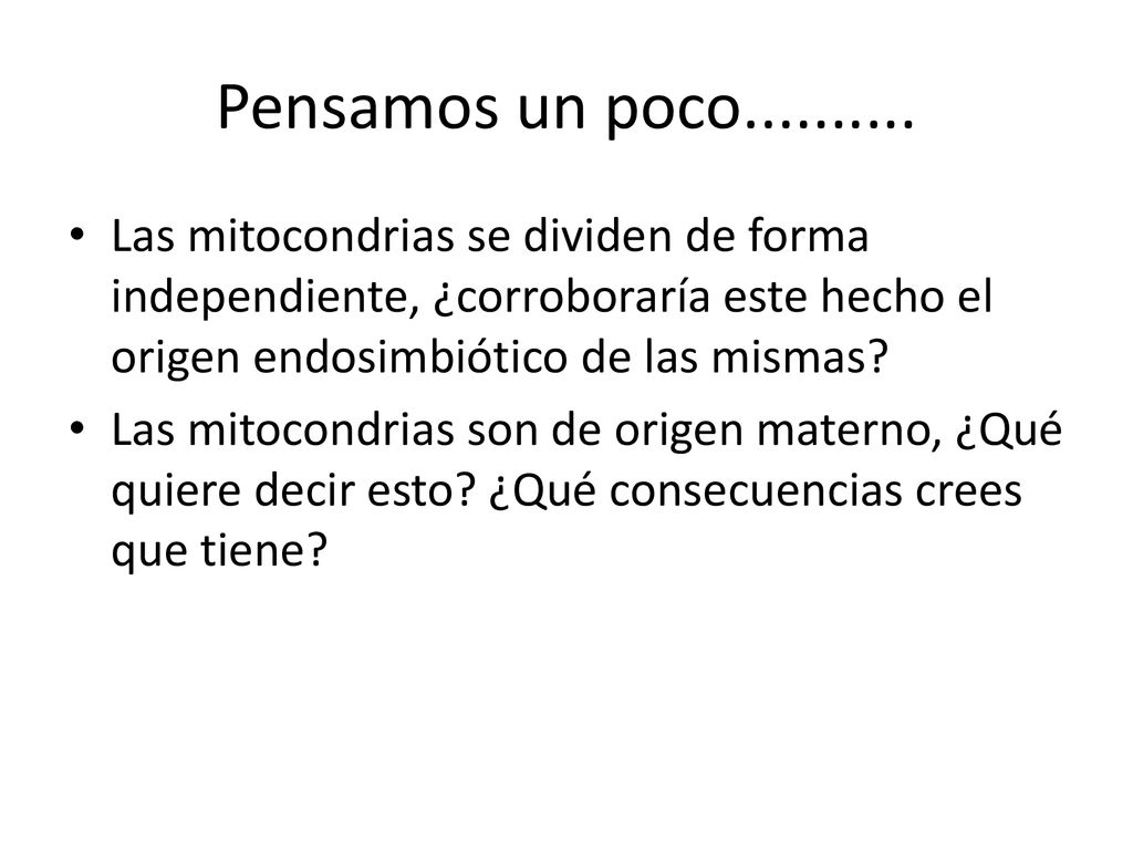 Pensamos un poco Las mitocondrias se dividen de forma independiente, ¿corroboraría este hecho el origen endosimbiótico de las mismas