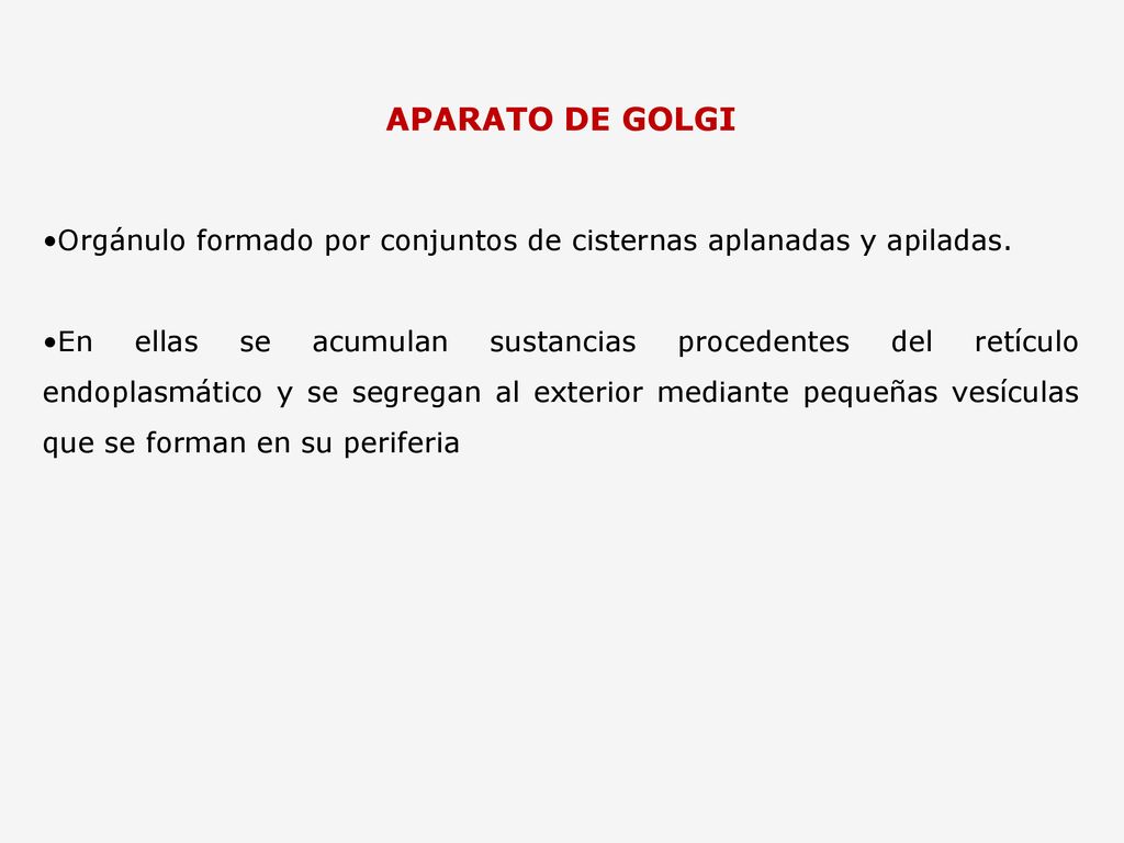 APARATO DE GOLGI Orgánulo formado por conjuntos de cisternas aplanadas y apiladas.