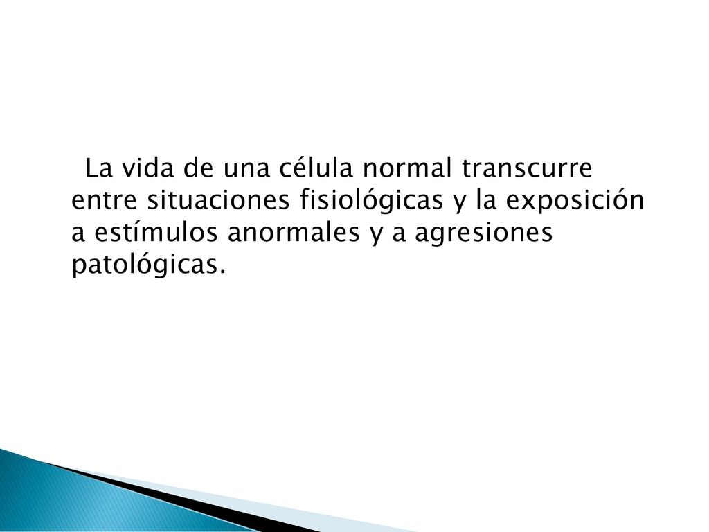 La vida de una célula normal transcurre entre situaciones fisiológicas y la exposición a estímulos anormales y a agresiones patológicas.