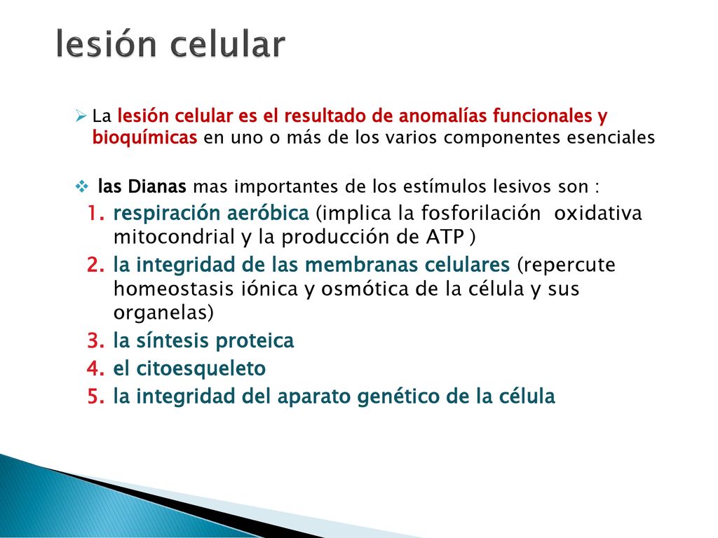 lesión celular La lesión celular es el resultado de anomalías funcionales y bioquímicas en uno o más de los varios componentes esenciales.