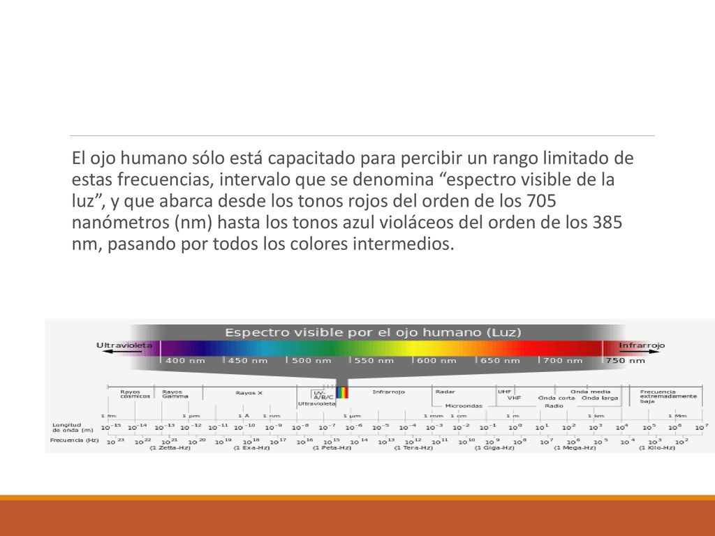 El ojo humano sólo está capacitado para percibir un rango limitado de estas frecuencias, intervalo que se denomina espectro visible de la luz , y que abarca desde los tonos rojos del orden de los 705 nanómetros (nm) hasta los tonos azul violáceos del orden de los 385 nm, pasando por todos los colores intermedios.