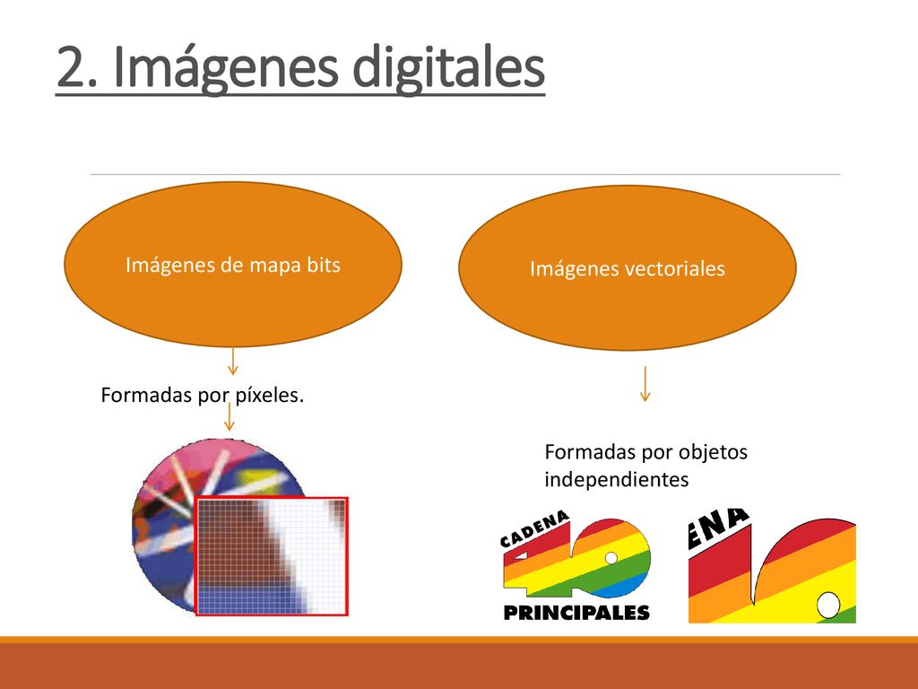 2. Imágenes digitales Imágenes de mapa bits Imágenes vectoriales