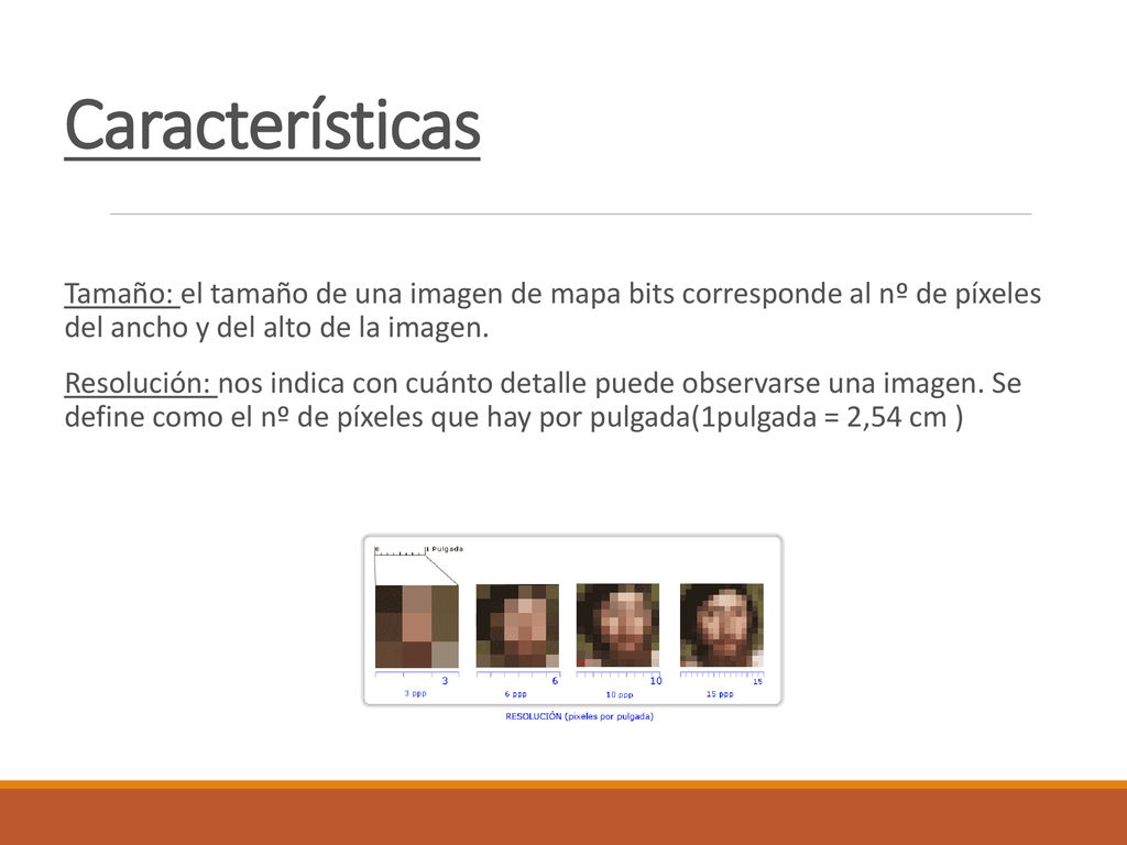 Características Tamaño: el tamaño de una imagen de mapa bits corresponde al nº de píxeles del ancho y del alto de la imagen.