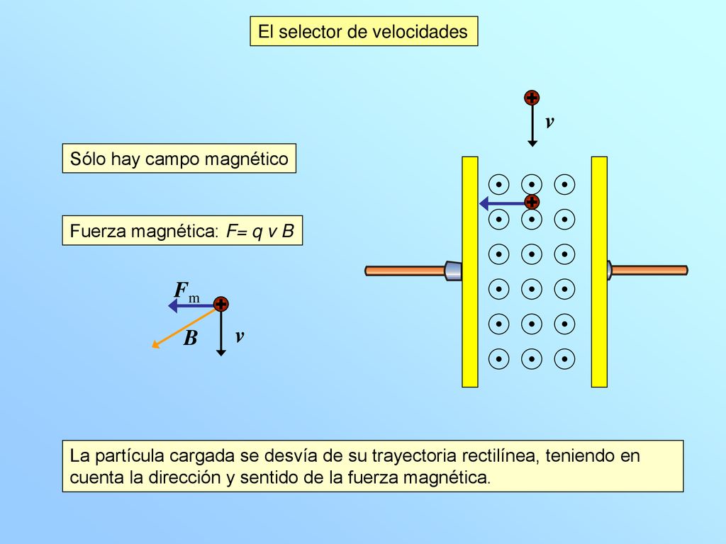 v Fm v B El selector de velocidades Sólo hay campo magnético