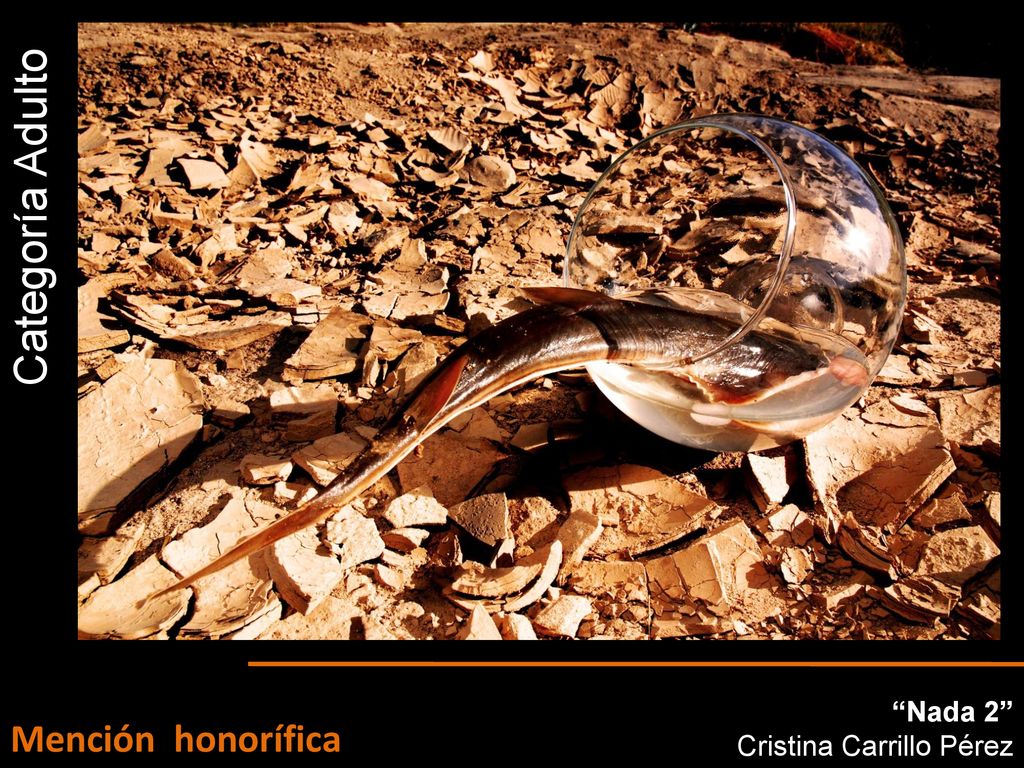 Categoría Adulto Nada 2 Cristina Carrillo Pérez Mención honorífica