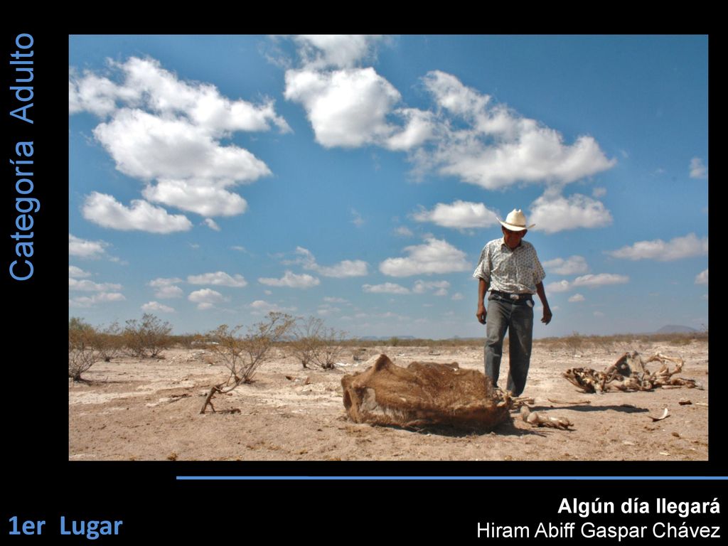Categoría Adulto Algún día llegará Hiram Abiff Gaspar Chávez 1er Lugar