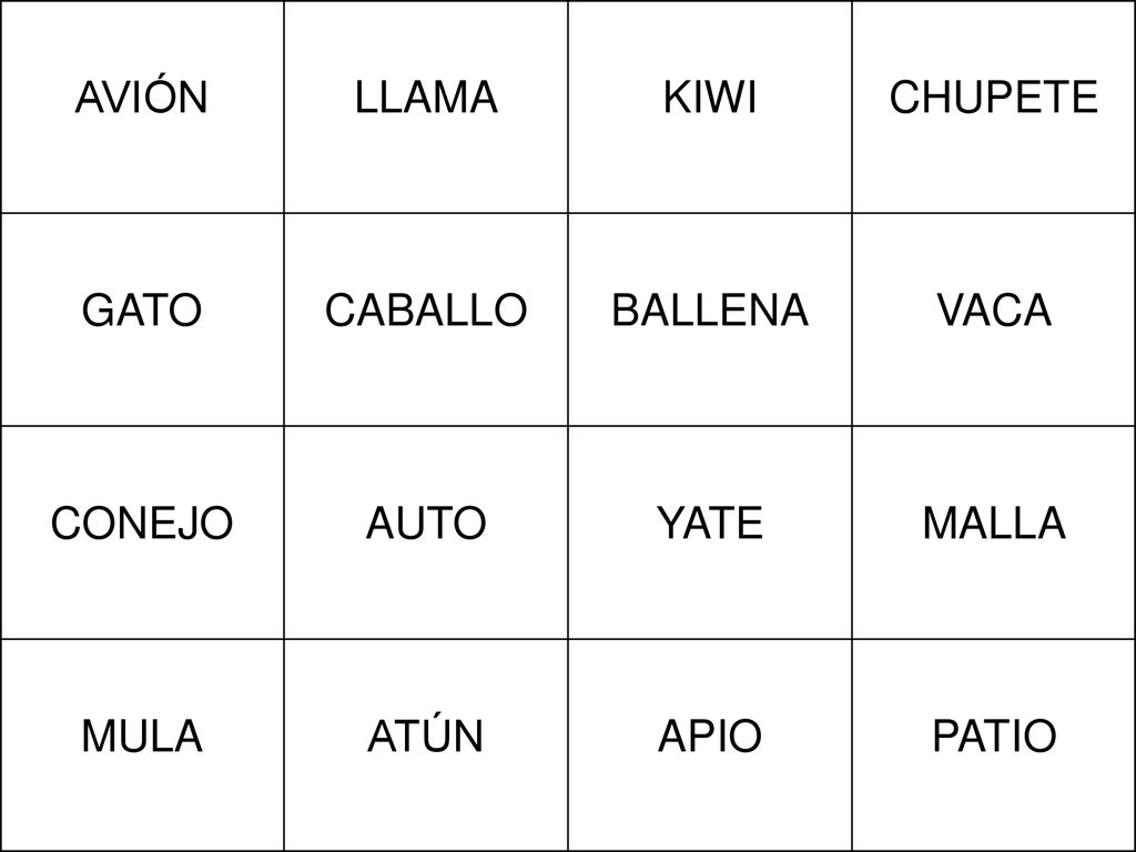 AVIÓN LLAMA KIWI CHUPETE GATO CABALLO BALLENA VACA CONEJO AUTO YATE MALLA MULA ATÚN APIO PATIO