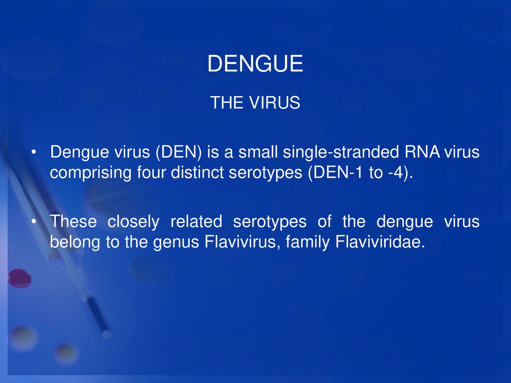 DENGUE THE VIRUS. Dengue virus (DEN) is a small single-stranded RNA virus comprising four distinct serotypes (DEN-1 to -4).