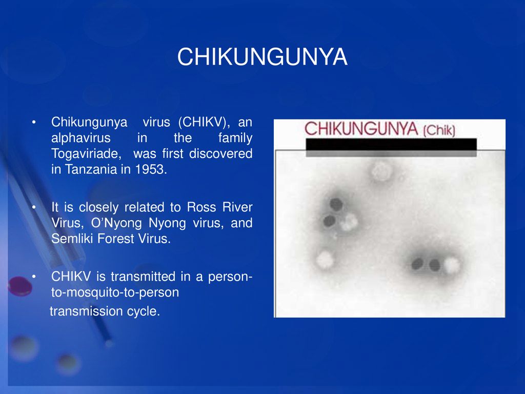 CHIKUNGUNYA Chikungunya virus (CHIKV), an alphavirus in the family Togaviriade, was first discovered in Tanzania in